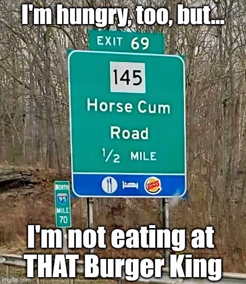 I'm hungry, too, but... I'm not eating at 
THAT Burger King | image tagged in horse,cum,road,funny road signs,burger king | made w/ Imgflip meme maker