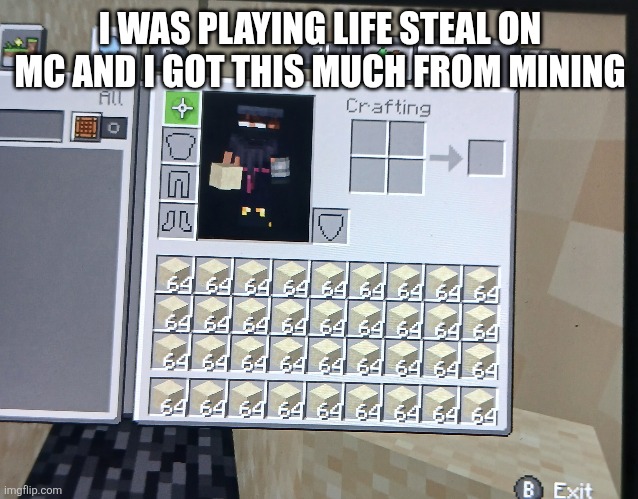 I WAS PLAYING LIFE STEAL ON MC AND I GOT THIS MUCH FROM MINING | made w/ Imgflip meme maker