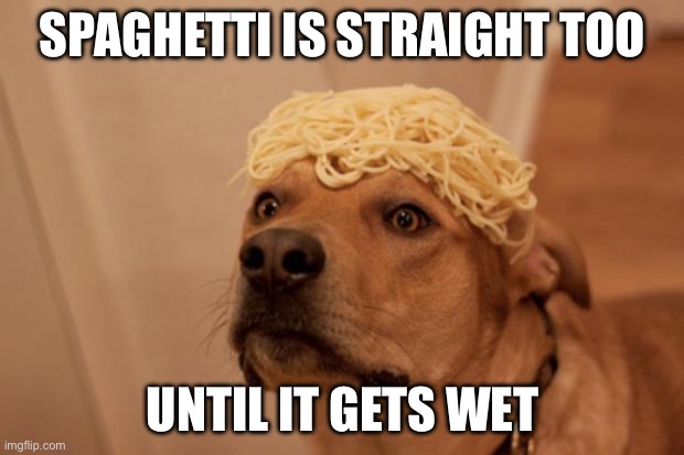 Thinking Spaghetti Dog | SPAGHETTI IS STRAIGHT TOO; UNTIL IT GETS WET | image tagged in thinking spaghetti dog | made w/ Imgflip meme maker