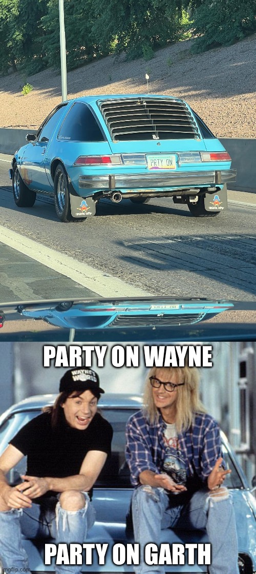 Excellent Plate | PARTY ON WAYNE; PARTY ON GARTH | image tagged in waynes world,excellent,party | made w/ Imgflip meme maker