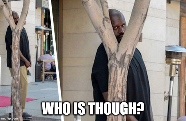 Shaq hiding | WHO IS THOUGH? | image tagged in shaq hiding | made w/ Imgflip meme maker