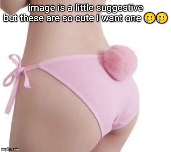 i wanna be a little bunny :0 | image is a little suggestive but these are so cute I want one 🥲🥲 | made w/ Imgflip meme maker