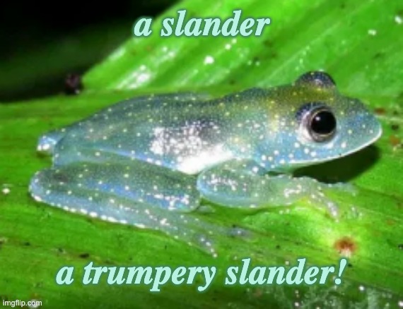 Sparkle Frog | a slander a trumpery slander! | image tagged in sparkle frog | made w/ Imgflip meme maker