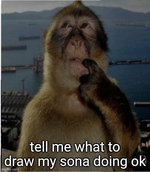 thinking monkey | tell me what to draw my sona doing ok | image tagged in thinking monkey | made w/ Imgflip meme maker