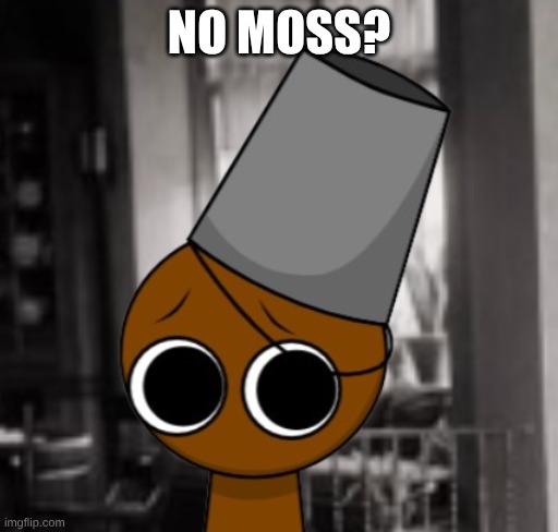 no moss(brud) | NO MOSS? | made w/ Imgflip meme maker
