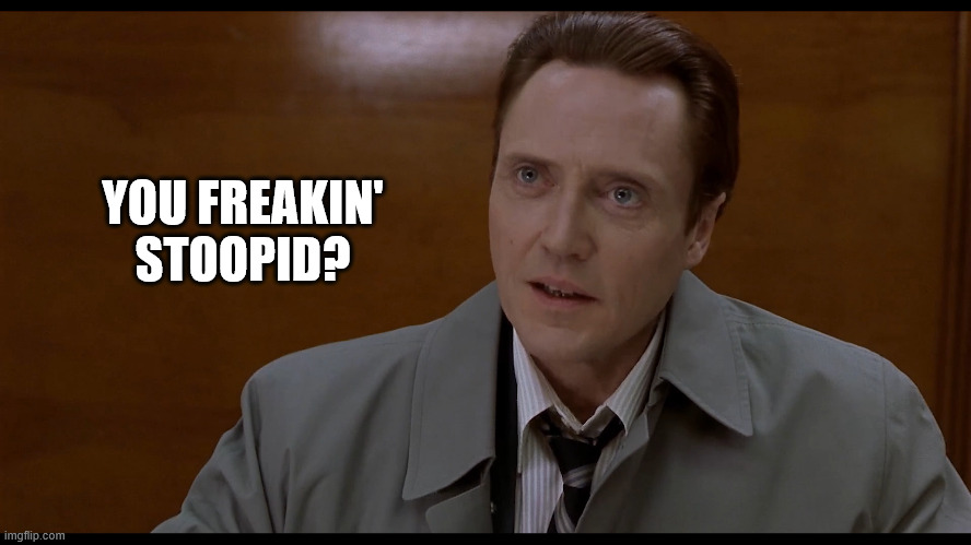 Christopher Walken | YOU FREAKIN' STOOPID? | image tagged in christopher walken | made w/ Imgflip meme maker