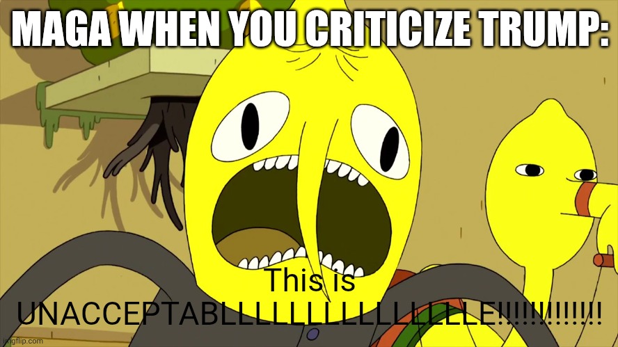 MAGA when you criticize the "almighty" Trump | MAGA WHEN YOU CRITICIZE TRUMP:; This is UNACCEPTABLLLLLLLLLLLLLLLE!!!!!!!!!!!!! | image tagged in lemongrab rage | made w/ Imgflip meme maker