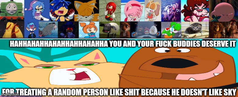 Me Ruining A Fill In Meme #299 | HAHHAHAHHAHAHHAHHAHAHHA YOU AND YOUR FUCK BUDDIES DESERVE IT; FOR TREATING A RANDOM PERSON LIKE SHIT BECAUSE HE DOESN'T LIKE SKY | image tagged in ruin this fill in meme 299 | made w/ Imgflip meme maker
