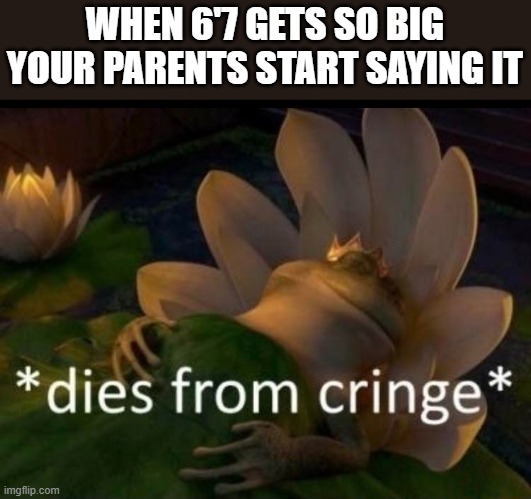 Please save meeeeeeeeeeeeeeeeeeee!!!! | WHEN 6'7 GETS SO BIG YOUR PARENTS START SAYING IT | image tagged in dies of cringe,funny,memes,6 7,if you are reading this help me,nuclear cringe | made w/ Imgflip meme maker
