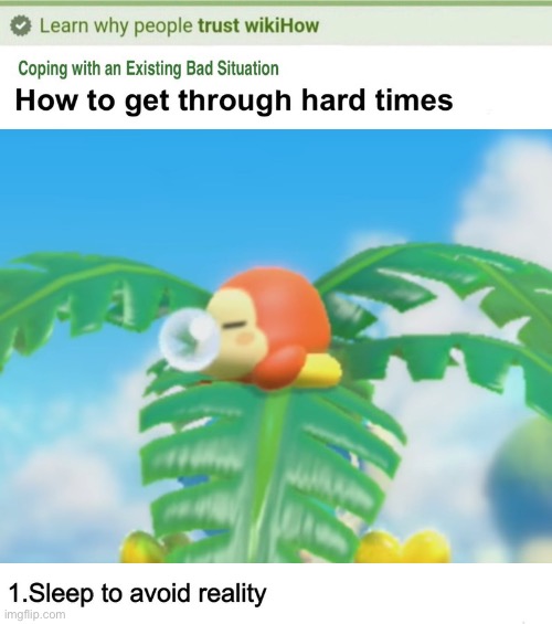Waddle Dee Sleep Wikihow Article | image tagged in sleep,wikihow | made w/ Imgflip meme maker