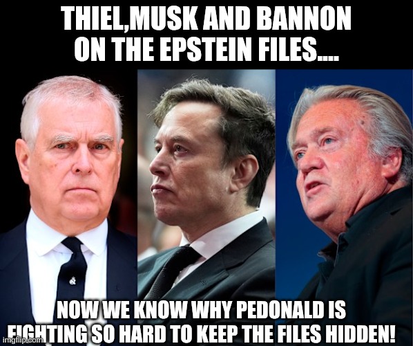 His friends on the list | THIEL,MUSK AND BANNON ON THE EPSTEIN FILES.... NOW WE KNOW WHY PEDONALD IS FIGHTING SO HARD TO KEEP THE FILES HIDDEN! | image tagged in trump,donald trump,maga,jeffrey epstein,epstein,nevertrump | made w/ Imgflip meme maker