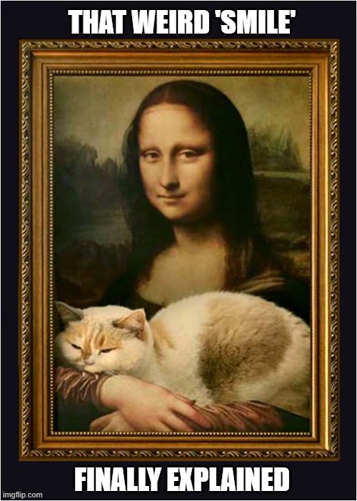 Stoppa De Bitin' Gatta ! | THAT WEIRD 'SMILE'; FINALLY EXPLAINED | image tagged in cats,biting,mona lisa,italian | made w/ Imgflip meme maker