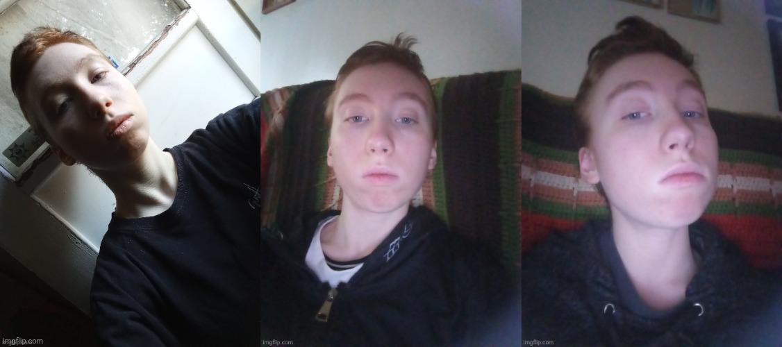 Which One Should Become A Face Temp? (Zoom In For Better Quality) | image tagged in face reveal,im doing it,fuck rylies hypocritical ass,i think either first or third,anyway,vote poll | made w/ Imgflip meme maker