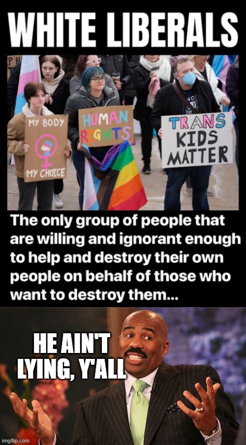 Self-Destruct | HE AIN'T LYING, Y'ALL | image tagged in shrug,memes,liberals,politics | made w/ Imgflip meme maker
