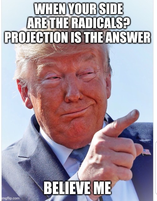 Trump pointing | WHEN YOUR SIDE ARE THE RADICALS?
PROJECTION IS THE ANSWER BELIEVE ME | image tagged in trump pointing | made w/ Imgflip meme maker
