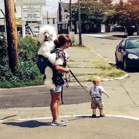 Chrisjoines1 Blank Meme Template