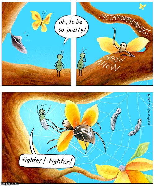 image tagged in comics,pbf,spider,pretty,trickster,disguised | made w/ Imgflip meme maker