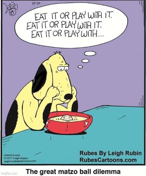 Rubes | image tagged in comics,rubes,matzo ball soup,eat it or play with it,decisions,dog | made w/ Imgflip meme maker