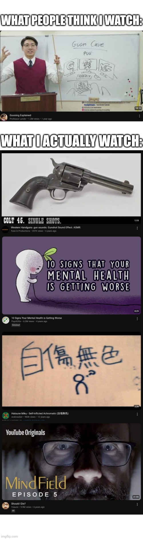 Uhhh... | WHAT PEOPLE THINK I WATCH:; WHAT I ACTUALLY WATCH: | image tagged in blank white template | made w/ Imgflip meme maker