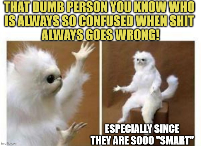 Dumb People you Know | THAT DUMB PERSON YOU KNOW WHO 
IS ALWAYS SO CONFUSED WHEN SHIT 
ALWAYS GOES WRONG! ESPECIALLY SINCE THEY ARE SOOO "SMART" | image tagged in confused white monkey,too dumb | made w/ Imgflip meme maker