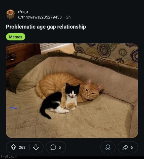((Insert user)) Ahh wunk | image tagged in memes,shitpost,grooming,wunkus | made w/ Imgflip meme maker