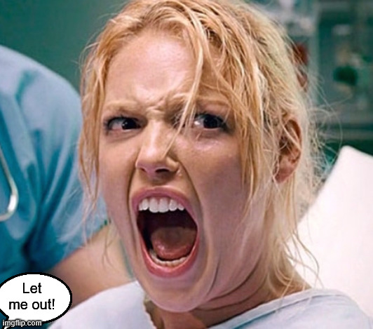 pushing harder than a pregnant lady | Let me out! | image tagged in pushing harder than a pregnant lady | made w/ Imgflip meme maker