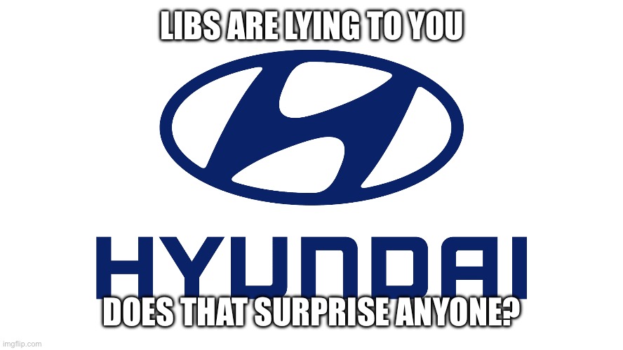Hyundai | LIBS ARE LYING TO YOU; DOES THAT SURPRISE ANYONE? | image tagged in hyundai | made w/ Imgflip meme maker