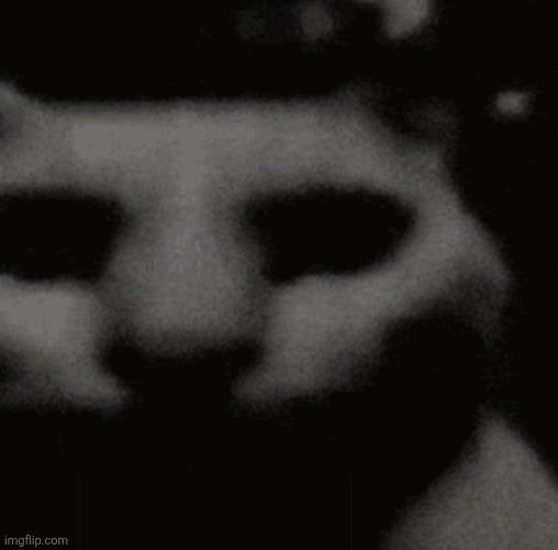 Hollow/despair cat | image tagged in hollow/despair cat | made w/ Imgflip meme maker