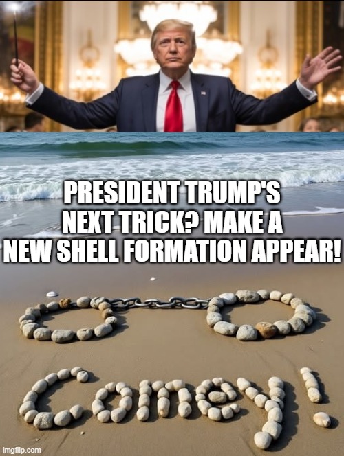 President Trump's next trick! | PRESIDENT TRUMP'S NEXT TRICK? MAKE A NEW SHELL FORMATION APPEAR! | image tagged in magician | made w/ Imgflip meme maker