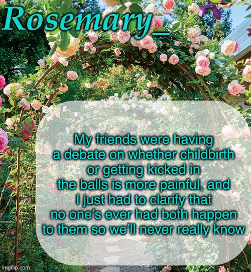 Rosemary_ template | My friends were having a debate on whether childbirth or getting kicked in the balls is more painful, and I just had to clarify that no one’s ever had both happen to them so we’ll never really know | image tagged in rosemary_ template | made w/ Imgflip meme maker