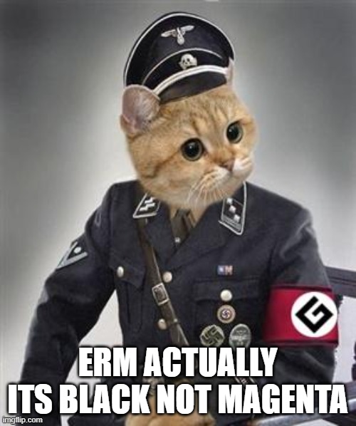 ERM ACTUALLY ITS BLACK NOT MAGENTA | image tagged in grammar nazi cat | made w/ Imgflip meme maker