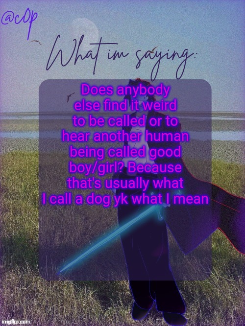 c0p template by Grace | Does anybody else find it weird to be called or to hear another human being called good boy/girl? Because that's usually what I call a dog yk what I mean | image tagged in c0p template by grace | made w/ Imgflip meme maker