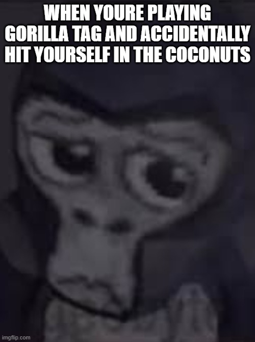 This meme is for the boyz. only. NO GIRLS ALLOWED!!! | WHEN YOURE PLAYING GORILLA TAG AND ACCIDENTALLY HIT YOURSELF IN THE COCONUTS | image tagged in no bananas | made w/ Imgflip meme maker