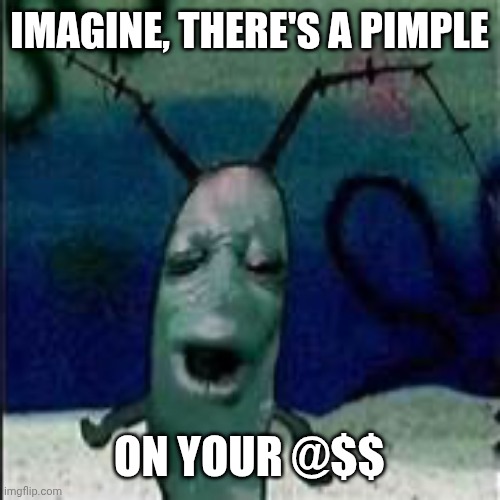 Meme | IMAGINE, THERE'S A PIMPLE; ON YOUR @$$ | image tagged in plankton gets served | made w/ Imgflip meme maker