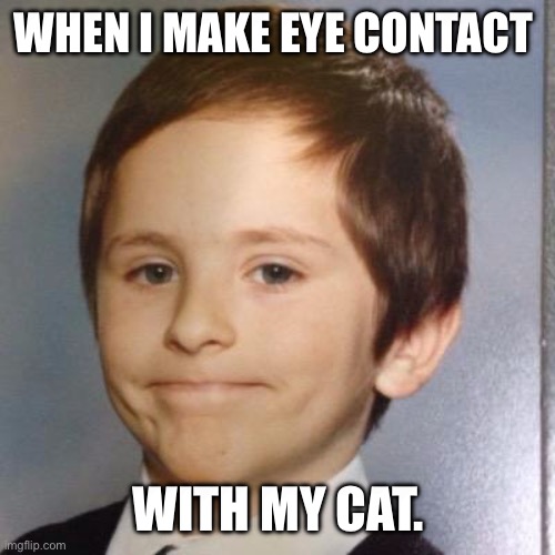 Awkward white people smile | WHEN I MAKE EYE CONTACT; WITH MY CAT. | image tagged in awkward white people smile | made w/ Imgflip meme maker