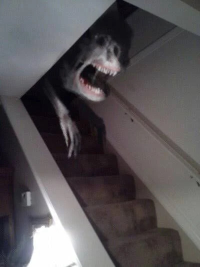 Wolfgang Blank Meme Template