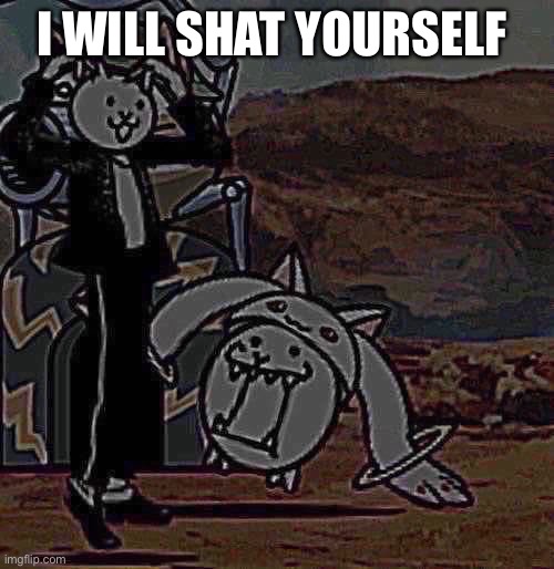The flabbergasted cats | I WILL SHAT YOURSELF | image tagged in the flabbergasted cats | made w/ Imgflip meme maker