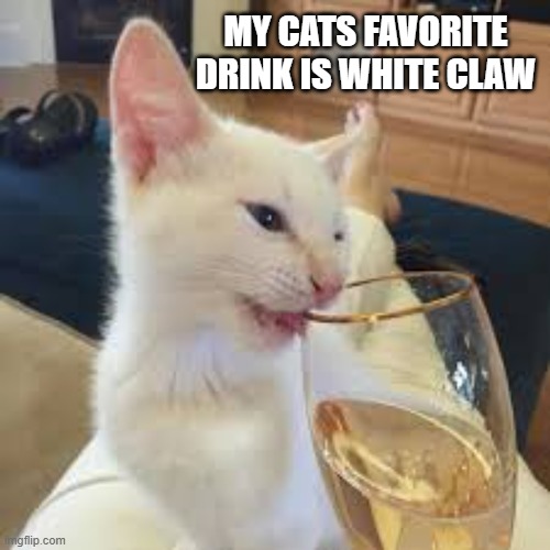 This cats favorite drink is White Claw.   --  funny  -- | MY CATS FAVORITE DRINK IS WHITE CLAW | image tagged in funny,cats,humor,kittens,play on words,funny cat meme | made w/ Imgflip meme maker