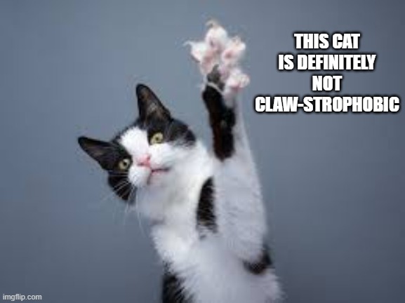 This cat is definitely not claws-trophic.  --  funny -- | THIS CAT IS DEFINITELY NOT CLAW-STROPHOBIC | image tagged in cats,funny,kittens,humor,play on words,funny cat meme | made w/ Imgflip meme maker