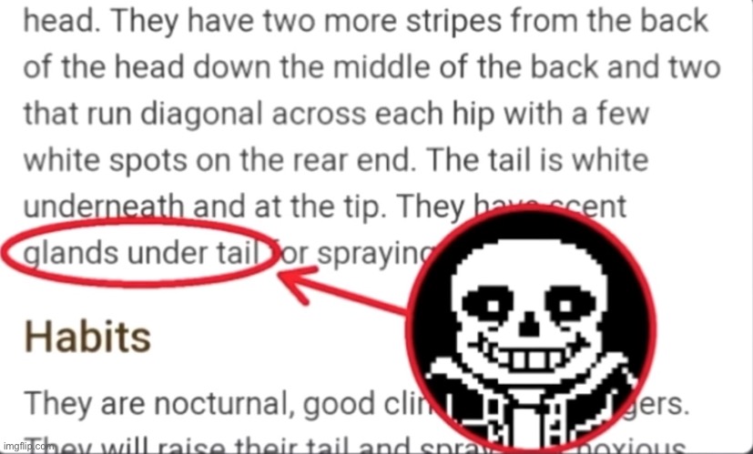 sand | image tagged in bored | made w/ Imgflip meme maker