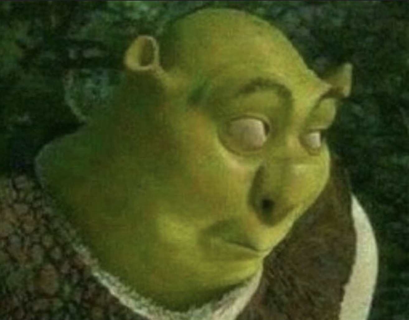 Ich war das nicht Blank Meme Template