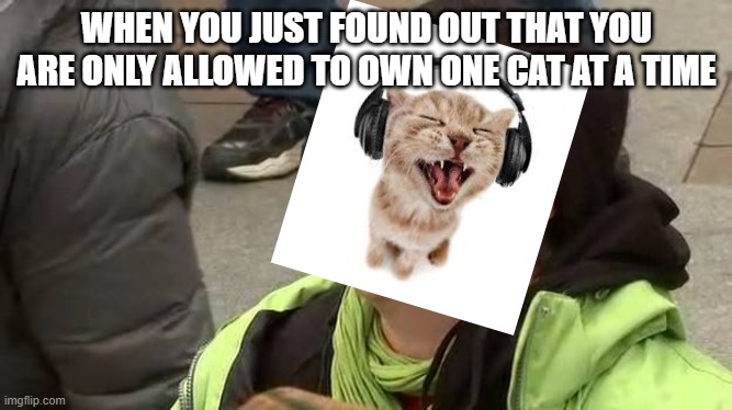 Typical crazy cat ladies and men | WHEN YOU JUST FOUND OUT THAT YOU ARE ONLY ALLOWED TO OWN ONE CAT AT A TIME | image tagged in screaming trump protester at inauguration,cat,cat lovers,cute cat,cat lover,crazy | made w/ Imgflip meme maker