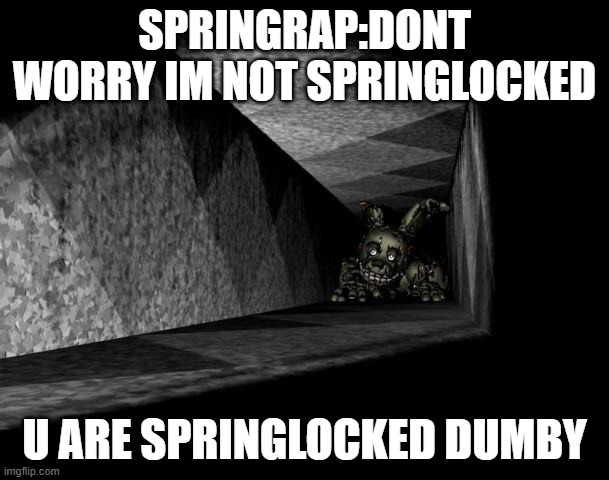 FnAF 3 | SPRINGRAP:DONT WORRY IM NOT SPRINGLOCKED; U ARE SPRINGLOCKED DUMBY | image tagged in fnaf 3 | made w/ Imgflip meme maker