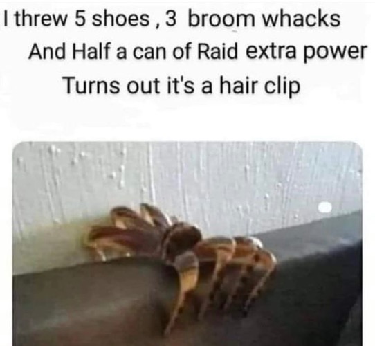Spider Or A... | image tagged in spider,funny memes,arachnophobia,die hard,relatable memes,relatable | made w/ Imgflip meme maker