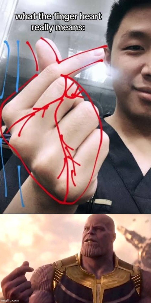 image tagged in thanos snap | made w/ Imgflip meme maker