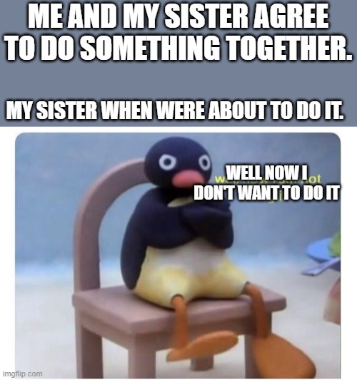 IVE BEEN WAITING FOR SO LONG!!!! | ME AND MY SISTER AGREE TO DO SOMETHING TOGETHER. MY SISTER WHEN WERE ABOUT TO DO IT. WELL NOW I DON'T WANT TO DO IT | image tagged in well now i am not doing it,sister,relatable memes | made w/ Imgflip meme maker