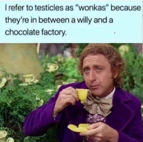 Wonkas | image tagged in willy wonka,testicles,butthole,penis,dark humour,dark humor | made w/ Imgflip meme maker