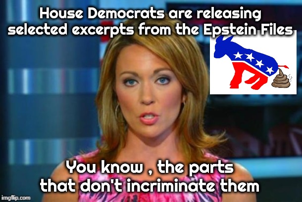 Still Much Ado About Nothing | House Democrats are releasing selected excerpts from the Epstein Files; You know , the parts that don't incriminate them | image tagged in real news network,democrats democratting,biased and partisan,where's donald,new game,wow look nothing | made w/ Imgflip meme maker