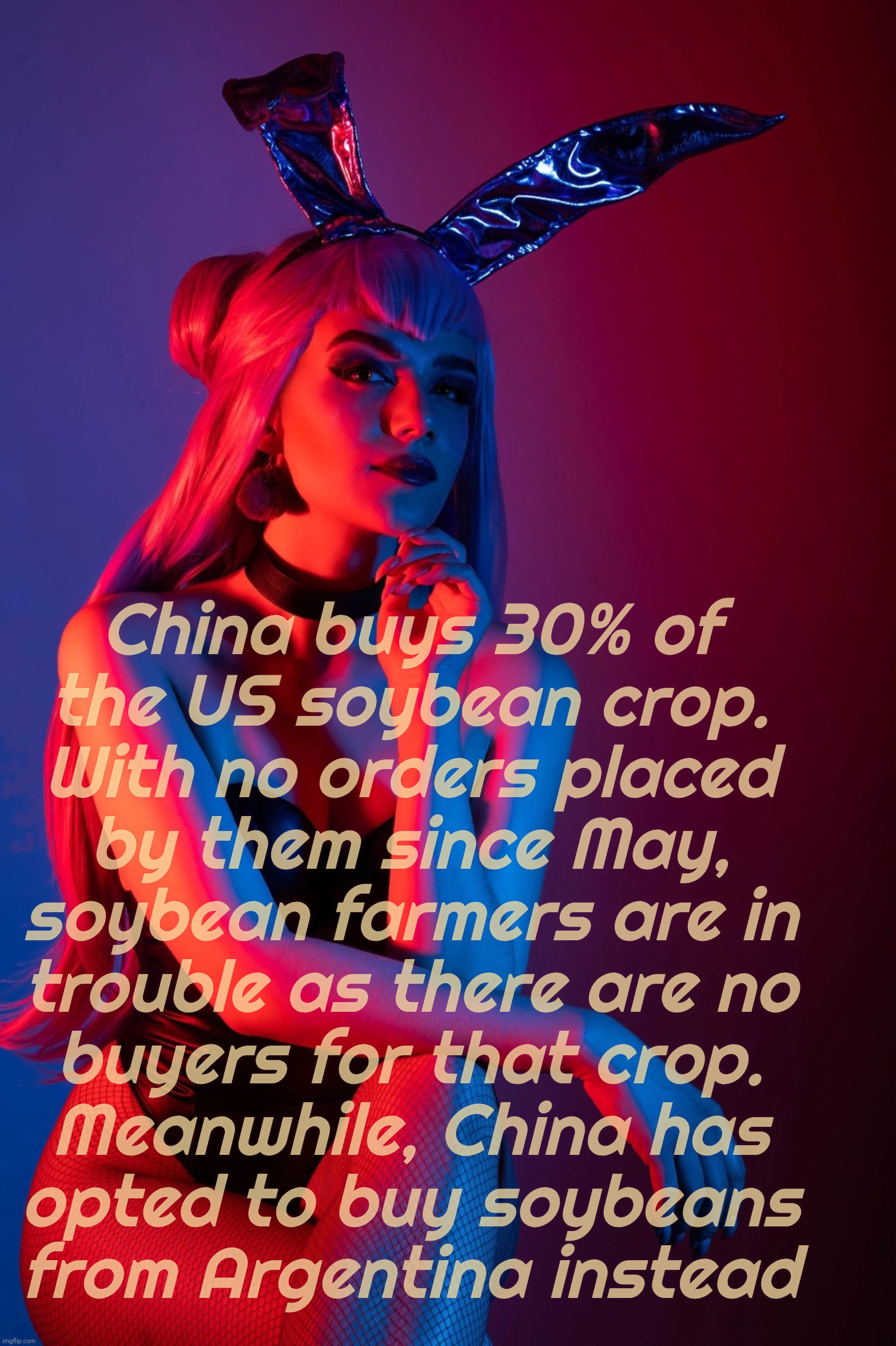 Evelynn K/DA | China buys 30% of
the US soybean crop.
With no orders placed
by them since May,
soybean farmers are in
trouble as there are no
buyers for th | image tagged in evelynn k/da | made w/ Imgflip meme maker
