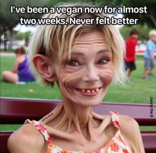 A Vegan | image tagged in funny memes,vegans,veganism,anorexia,scary,toothless | made w/ Imgflip meme maker